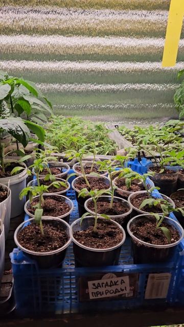 Привет из дождливого и холодного Донецка!)