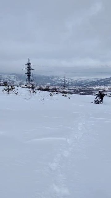 WhatsApp Video 2025-03-30 At 13.59.54