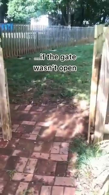 Чот резко взгрустнулось 😔))