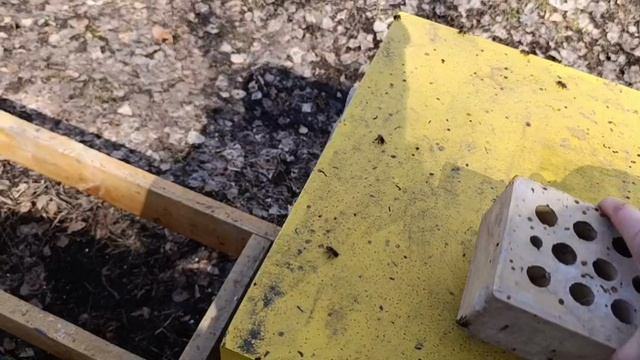 Подкормка пчёл в апреле. Выбраковка рамок.21.04.2026г.