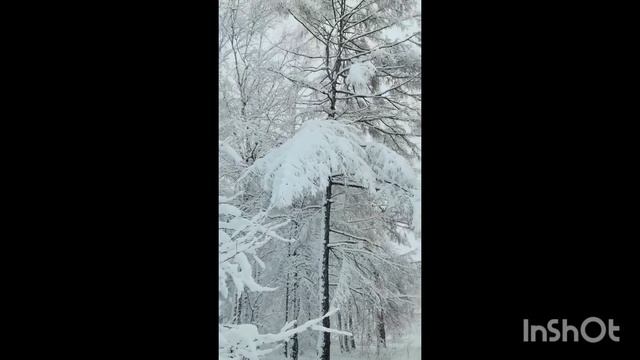 21.04.2026г. Снег в Комсомольск-на-Амуре