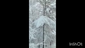 21.04.2026г. Снег в Комсомольск-на-Амуре