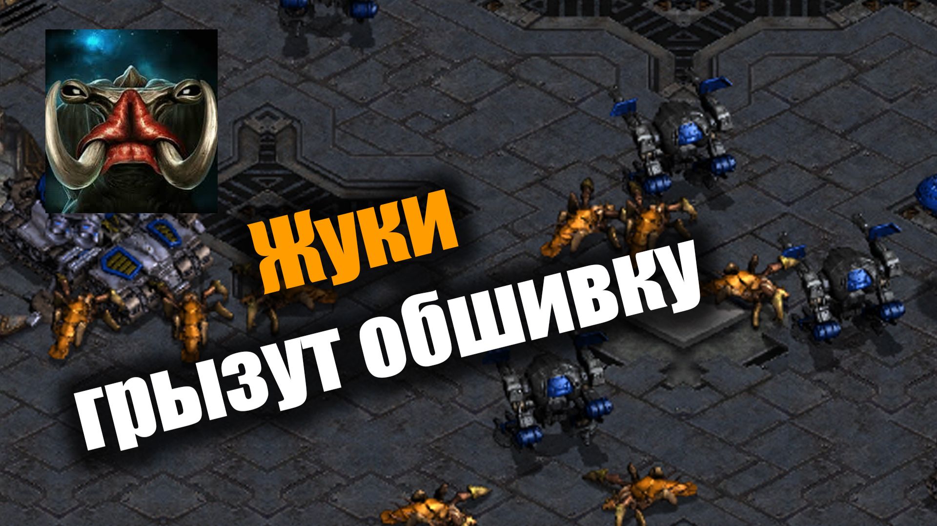 Королевы берут власть над терранским железом: Starcraft: Remastered