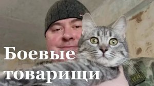 Спасённого на СВО кота передали матери погибшего военного
