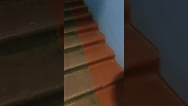 С магазина 😘