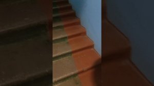 С магазина 😘