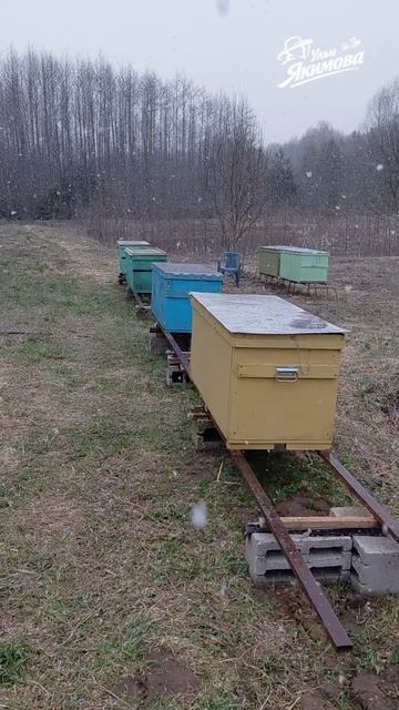 Снег на пасеке поставил кормушки