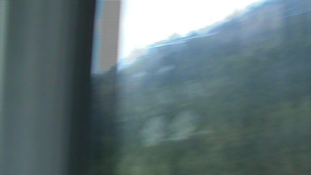 87)РОЗА ХУТОР КАНАТКА