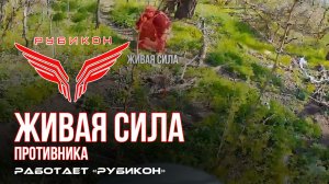 Живая сила противника. «Рубикон» продолжает раздавать порции пластида пехоте ВСУ в зоне СВО