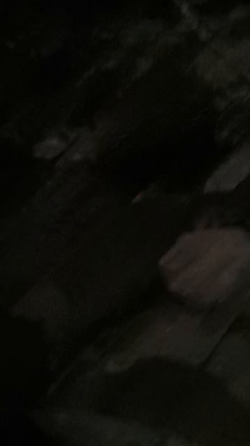 Самоцветы в лесу Сочи