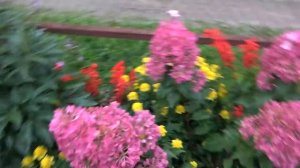 6 соток 7 сентября 2021 года. Хроника