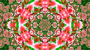 Футажи!!! Видеофоны!!! Футаж Феерия из Роз 3 от Киностудии Мудрого Кота Тимофея!!!