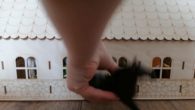 VID_20260421_144208.mp4