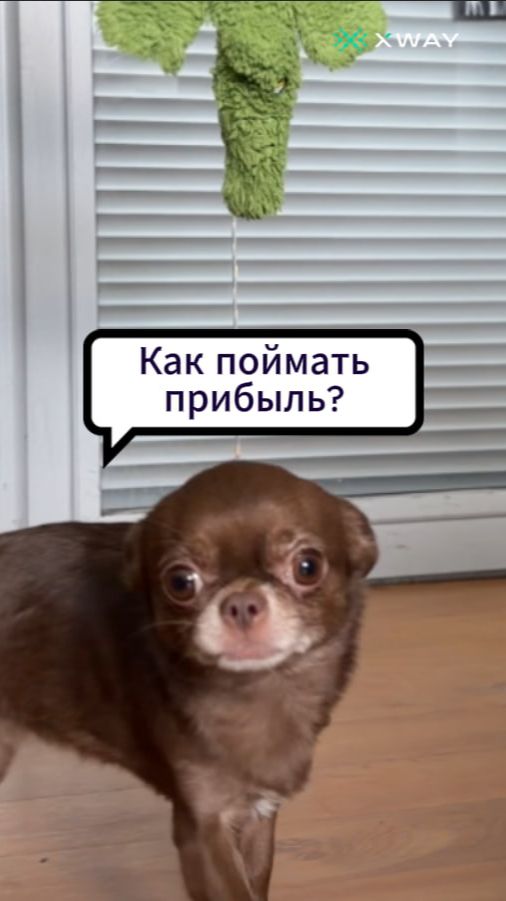 А как ваша прибыль? Ловится? Делитесь в комментариях 😉