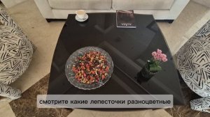 Rixos Sharm El Sheikh 5* 18+