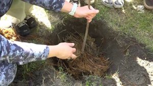 «Сад памяти» высадили воспитанники детского садика «Родничок»