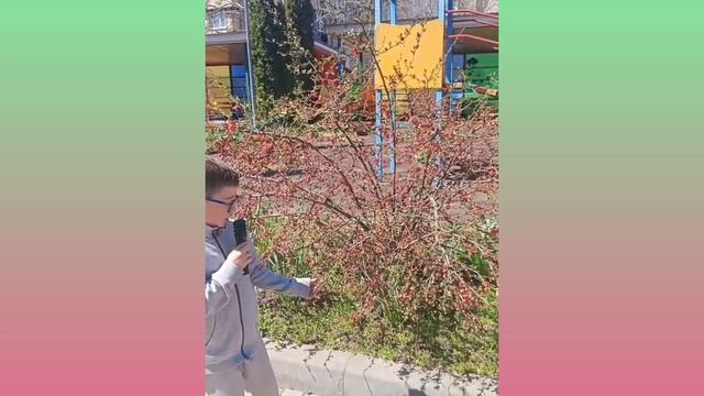 МБДОУ 15 Сказка Репортаж о весне