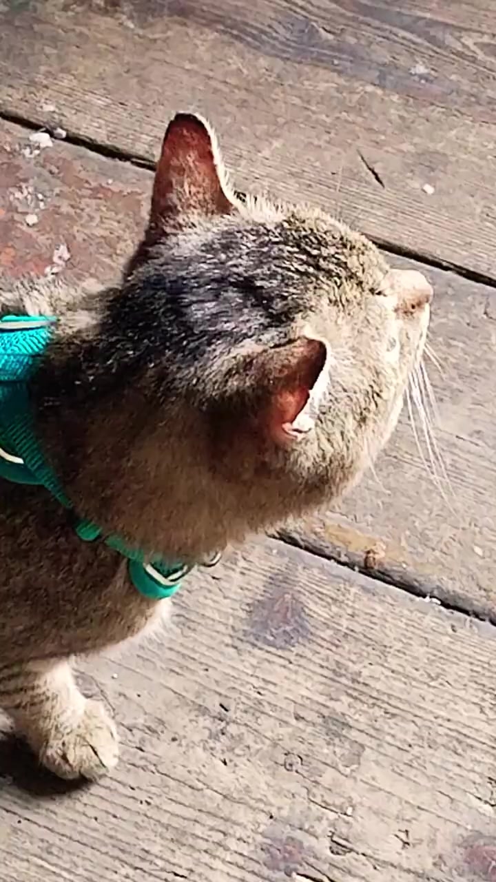 Мужчины, всё забывают! 🤗  21-04-2026