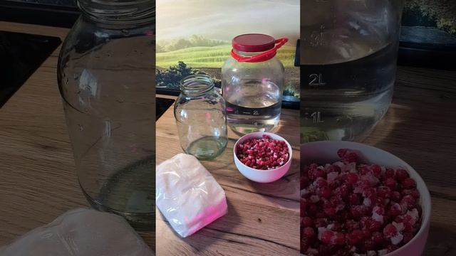 21.04.2026 Делаю настойки Граф Разумовский и смородину красную.
