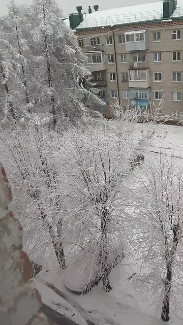 Снежный день в апреле! апрель 21