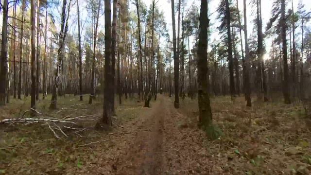 Осенний Заельцовский