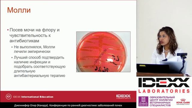 2 - Jennifer Ogeer - Болезни почек у собак и кошек преимущества