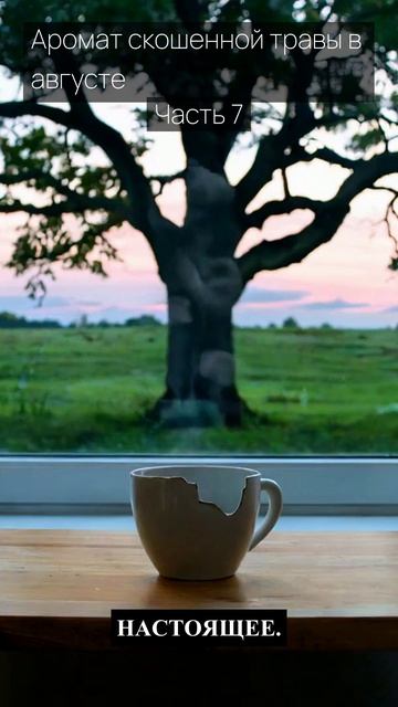 Аромат скошенной травы в августе / Часть 7 / Грустные рассказы / Истории из жизни