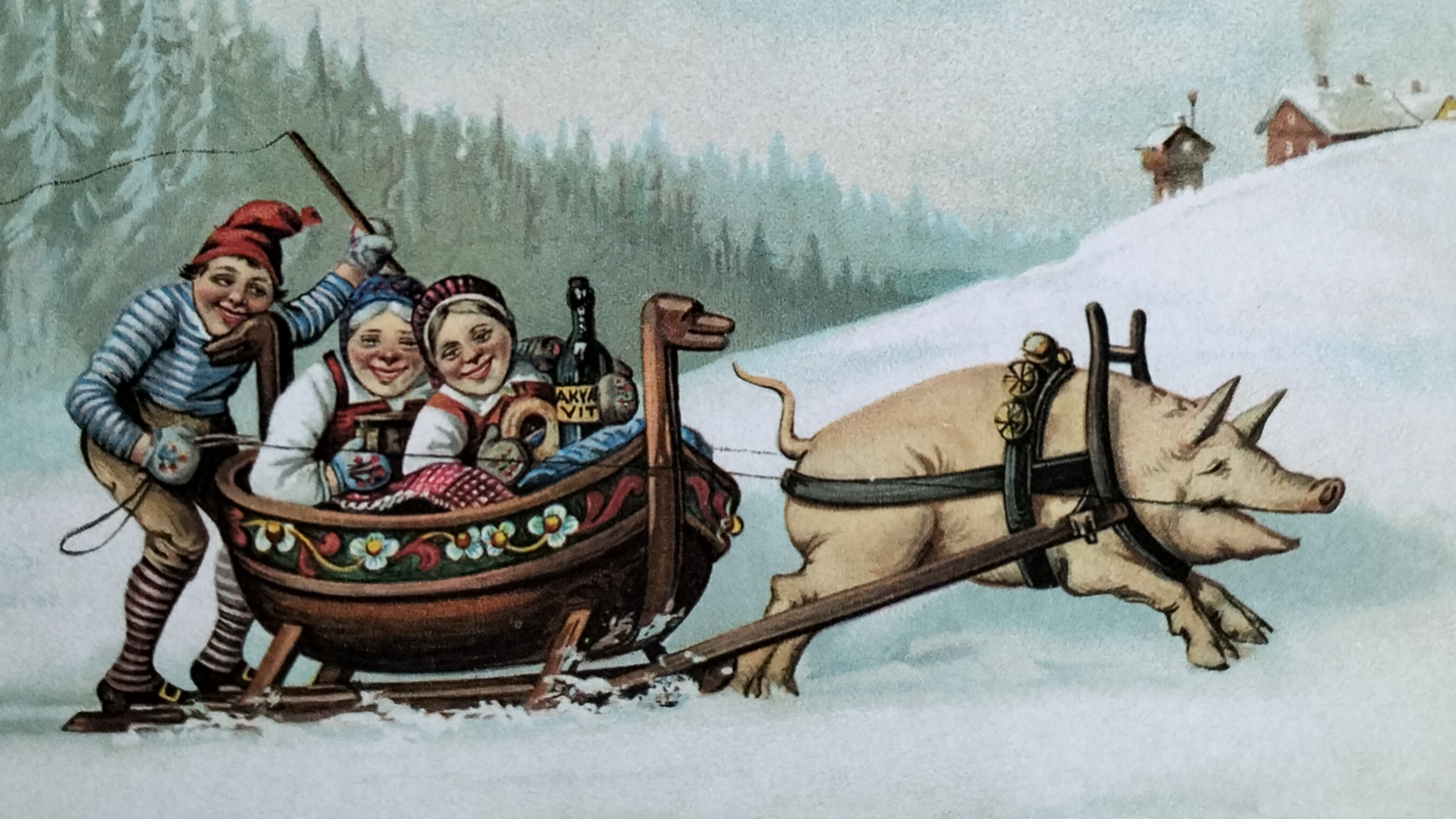 Свиная упряжка. Старая иллюстрация.