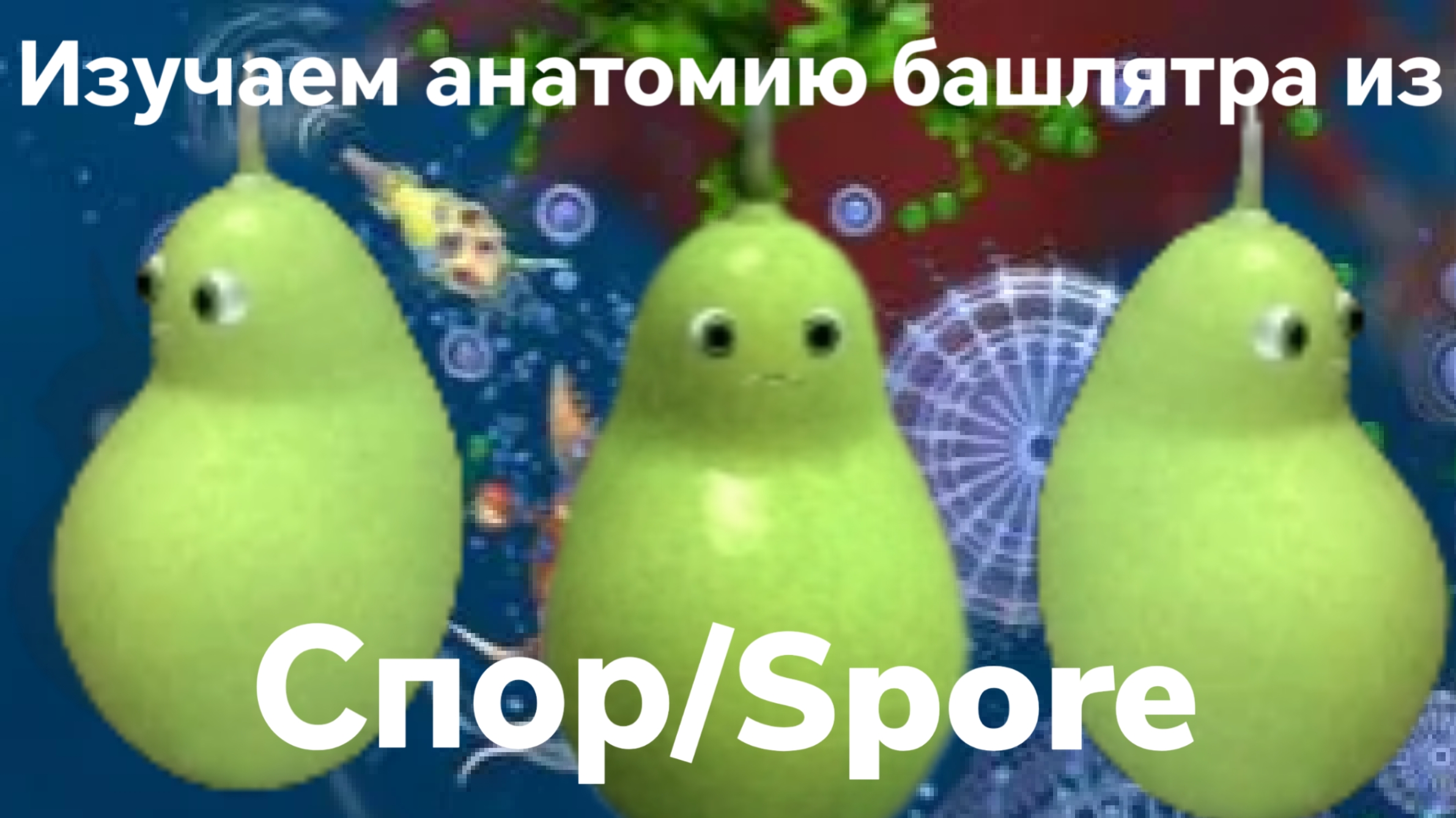 Анатомия Башлятра из спор