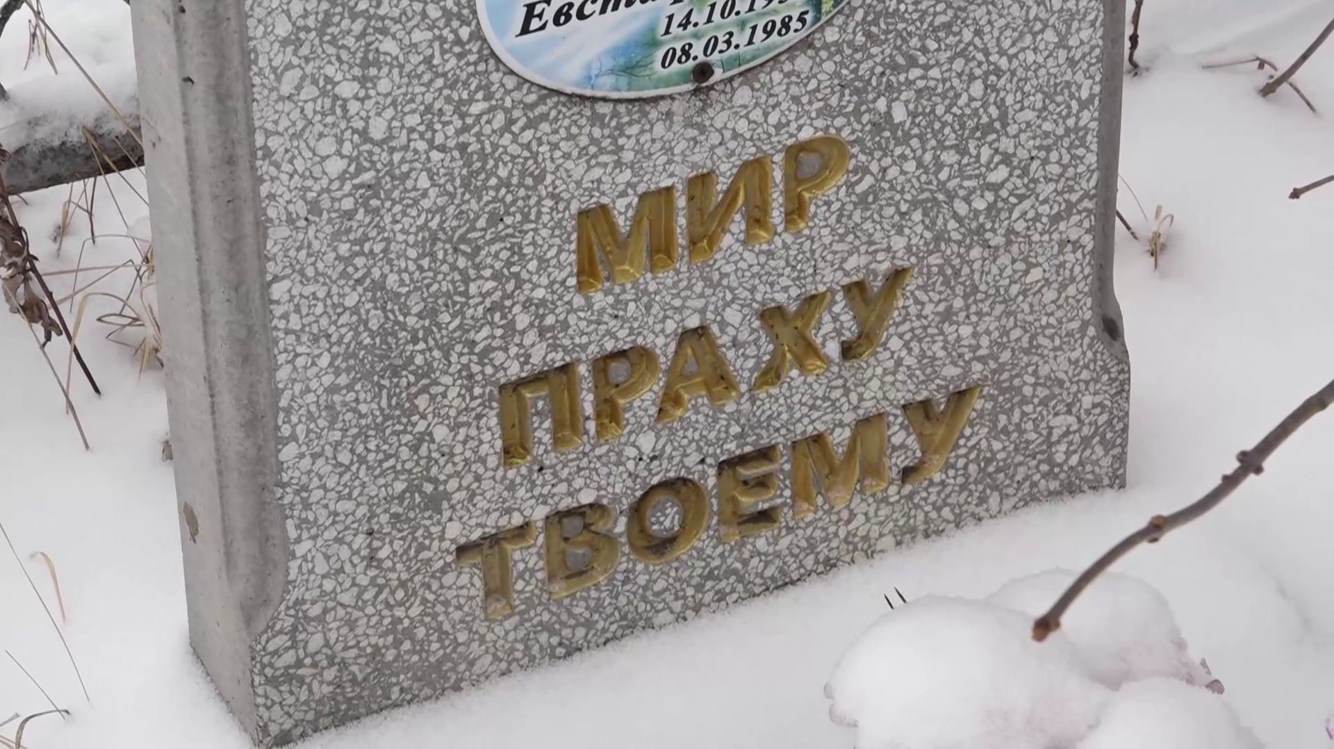 РОДИТЕЛЬСКИЙ ДЕНЬ В КРАСНОЯРСКЕ