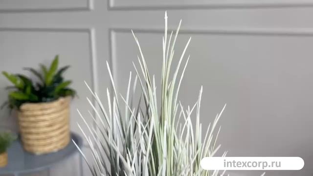 Искусственное растение в горшке АКОРУС, зеленый, 27 см, 5010094