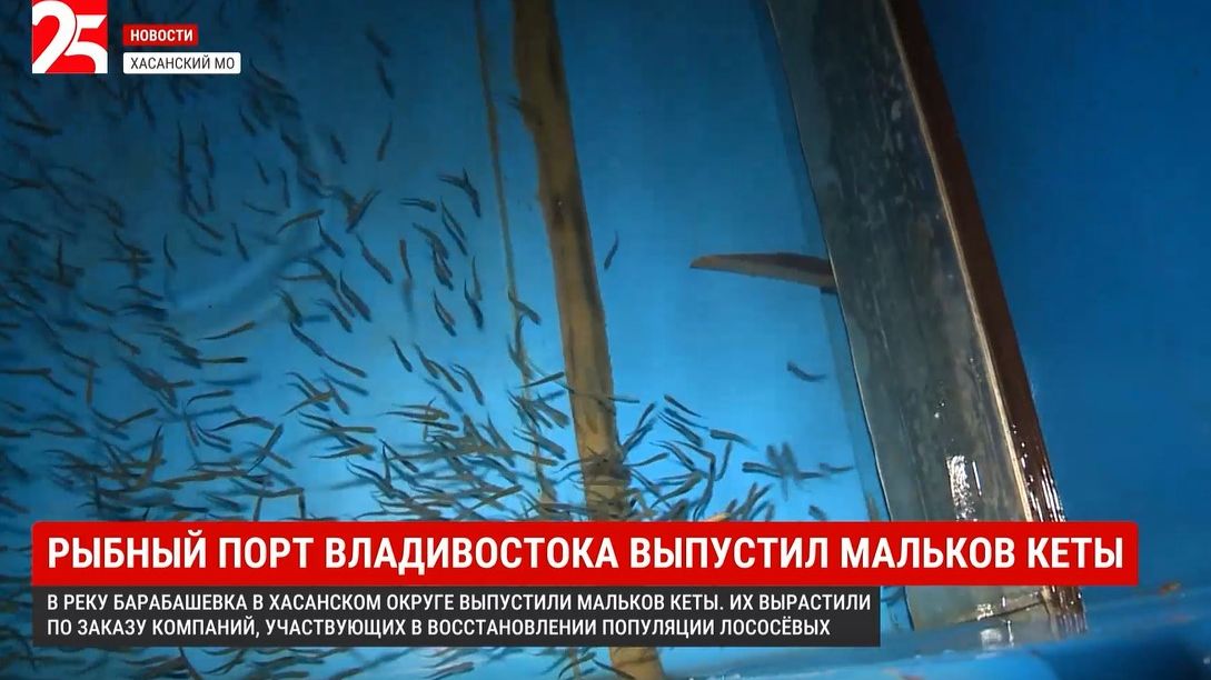 Предприятия Приморья помогают восстанавливать популяцию морских обитателей