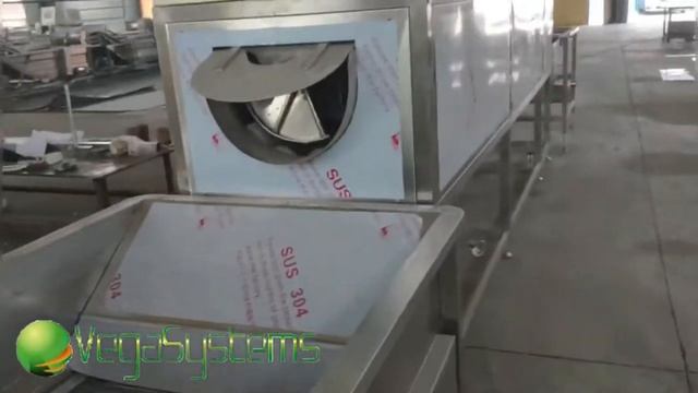 Производственная линия Вега/Vega Standard мойка и очистка корнеплодов