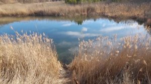 РАЗВЕДКА  РЫБНЫХ МЕСТ