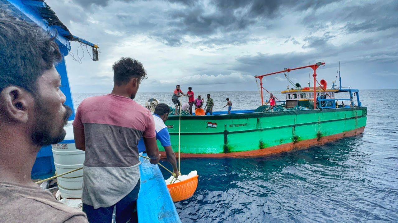 Уже четвертый день мы находимся в открытом море и ловим тунца