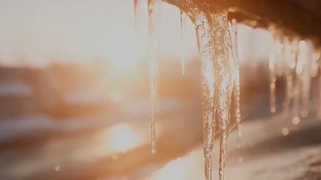 Попали мы в немилость...