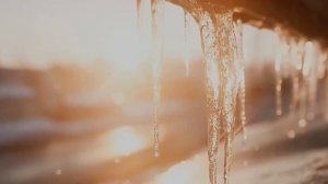 Попали мы в немилость...