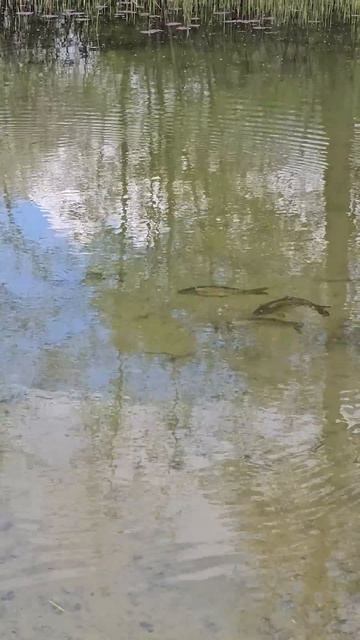 18 апреля 2026 г.