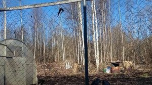 На угрозы и оскорбления Деда  ✅ получите Достойный ответ