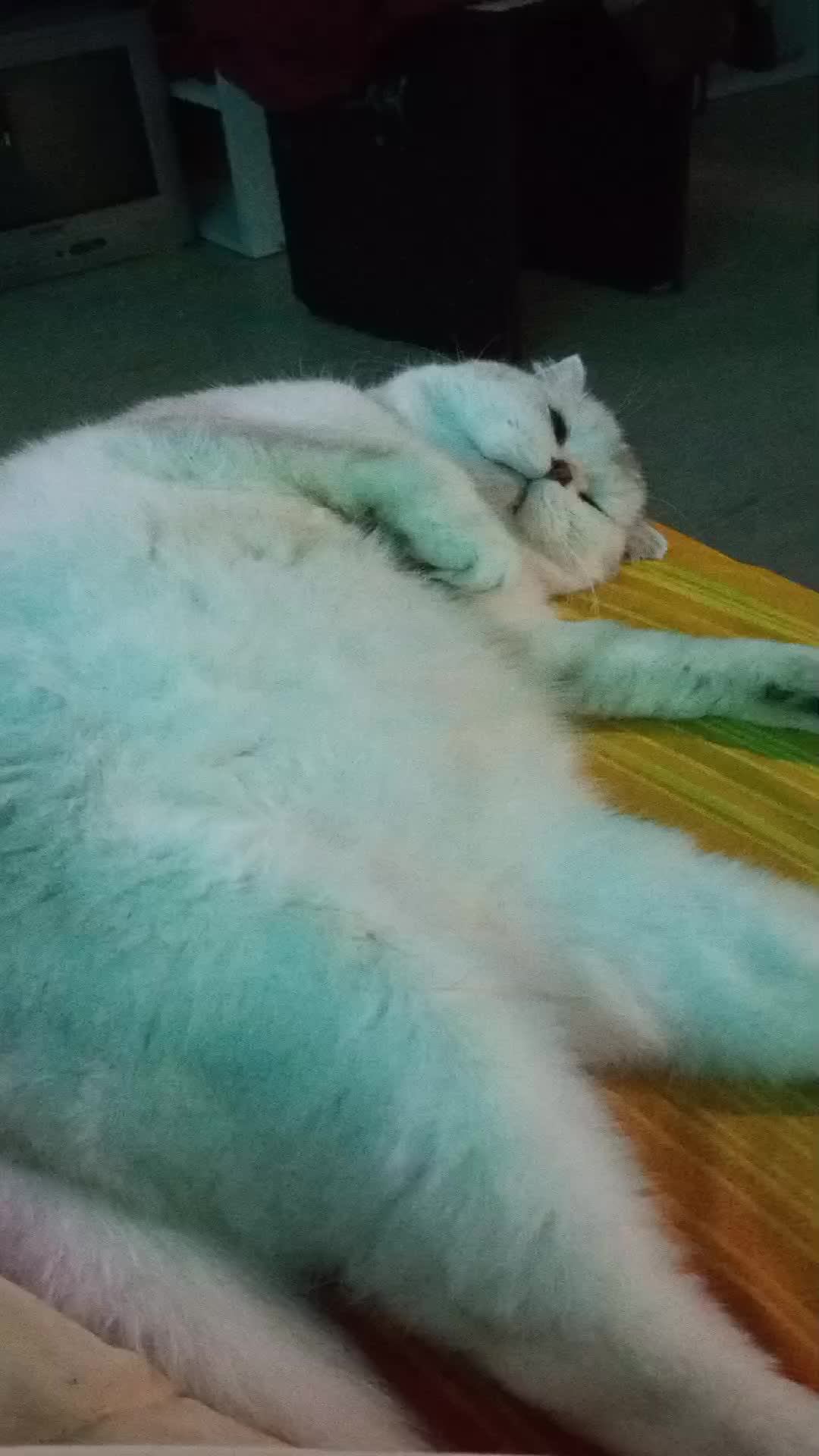 всем привет)