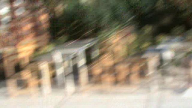 102)С ЛАЗАРЕВСКОЕ ГУЛЯЕМ