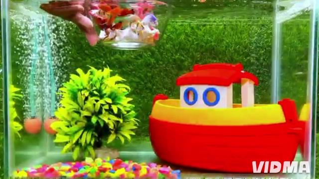 волшебные рыбки