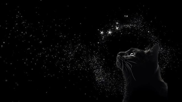 Звезды россыпью