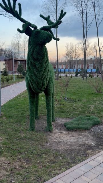 Прогулки по парку в Электростали