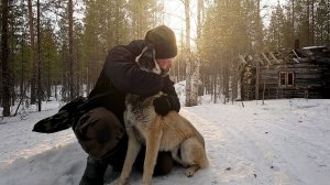 СОБАКА ПОТЕРЯЛАСЬ В ЛЕСУ. РЫБАЛКА ПОШЛА НЕ ПО ПЛАНУ. ЗАЕХАЛИ НА ИЗБУ С НОЧЁВКОЙ. РЫБАЛКА НА ОЗЕРЕ