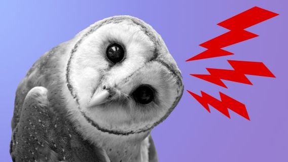 БЫК ПРОТИВ ТРАКТОРА...СТАВИМ НА БЫКА....!😆