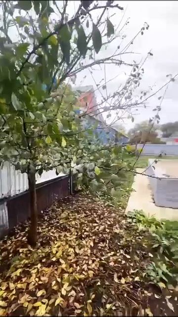 Дом по цене квартиры