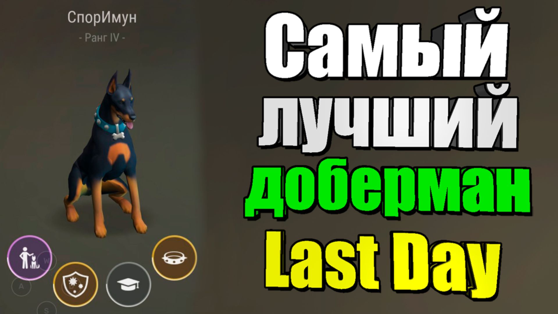 Самый полезный доберман / Last Day