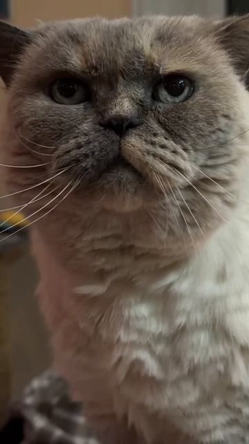 Мой дом - моя крепость