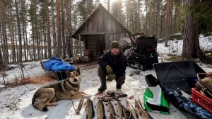 ЛУЧШАЯ РЫБАЛКА 2026. НОЧЁВКА В ИЗБУШКЕ РЫБАКА. ПРОВЕРКА ЖЕРЛИЦ ОЧЕНЬ УДИВИЛА. РЫБАЛКА В КАРЕЛИИ